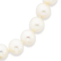Prouds Bracelets>9Ct 19Cm Cultured Fresh Water Pearl Bracelet In White