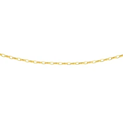 Prouds Necklaces>9Ct 55Cm Hollow Belcher Chain