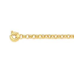 Prouds Bracelets>9Ct 19Cm Solid Belcher Bolt Ring Bracelet