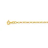 Prouds Bracelets>9Ct Gold 19Cm Hollow Belcher Bracelet