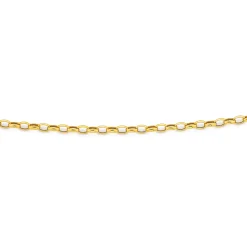 Prouds Necklaces>9Ct Gold 45Cm Hollow Oval Belcher Chain