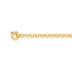 Prouds Bracelets>9Ct Gold 19Cm Solid Belcher Bolt Ring Bracelet