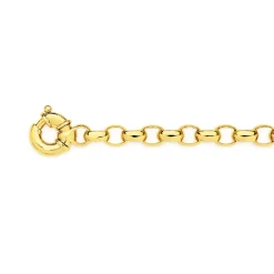 Prouds Bracelets>9Ct Gold 19Cm Solid Belcher Bolt Ring Bracelet