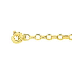 Prouds Bracelets>9Ct Gold 19Cm Solid Belcher Bolt Ring Bracelet