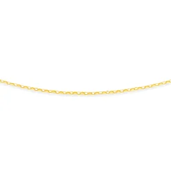 Prouds Necklaces>9Ct Gold 42Cm Solid Belcher Chain