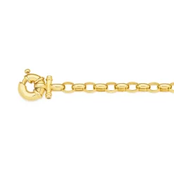 Prouds Bracelets>9Ct Gold 19Cm Solid Diamond Belcher Bolt Ring Bracelet